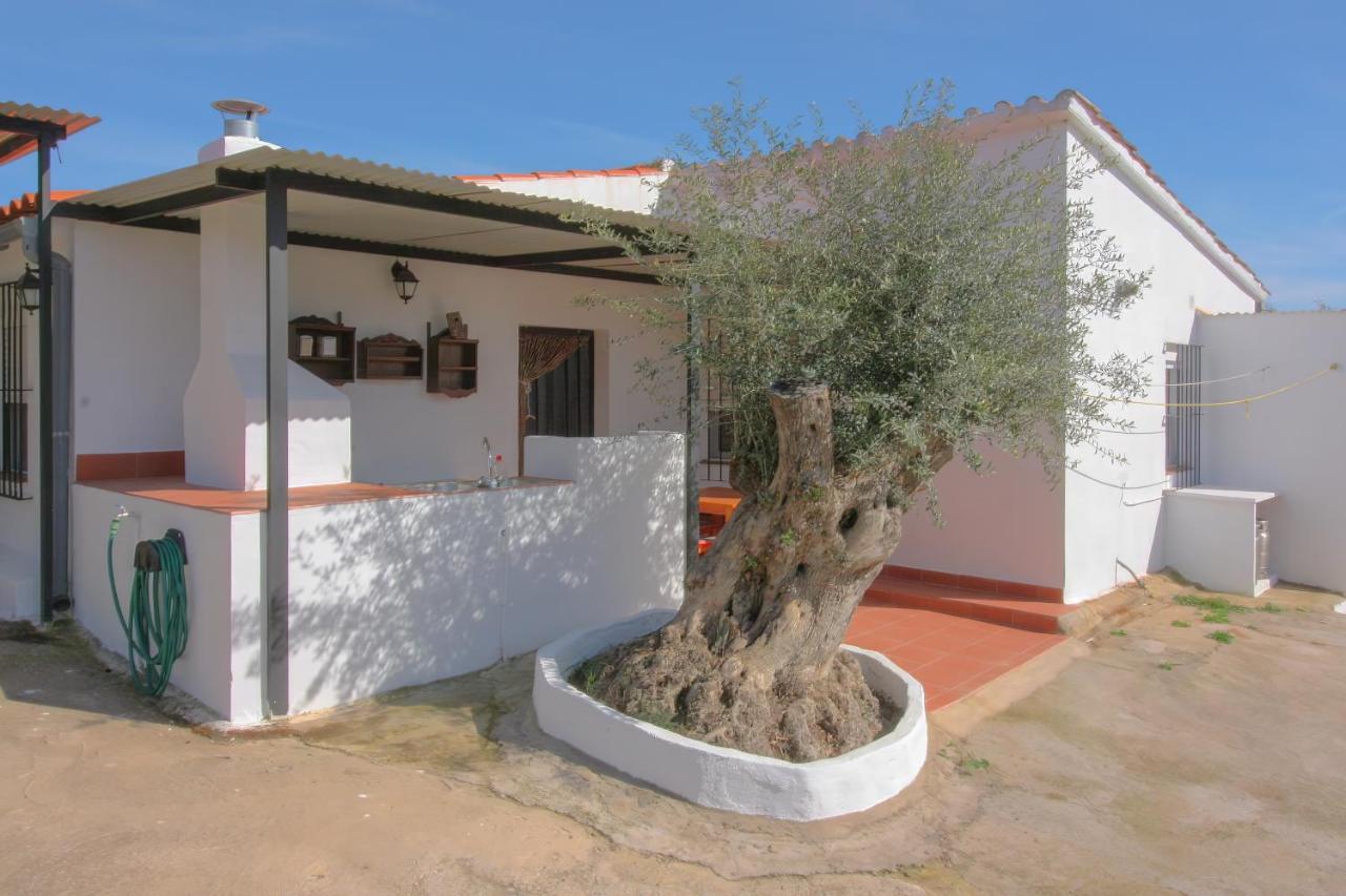 Casa Rural Los Naranjo 赫雷斯德洛斯卡瓦列罗斯 外观 照片